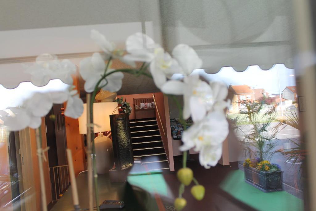 Quick Palace Hotel นัวแยลส์-โกโดลต์ ภายนอก รูปภาพ